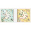 Foulard en soie pour femme ★ Promenade des Dames aux Fleurs Éternelles au ton jaune-vert