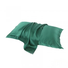 Taie d'oreiller en soie ★ Vert menthe